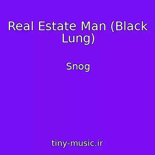 کاور آهنگ Real Estate Man (Black Lung) از Snog