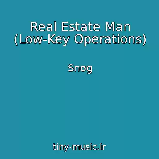 کاور آهنگ Real Estate Man (Low-Key Operations) از Snog