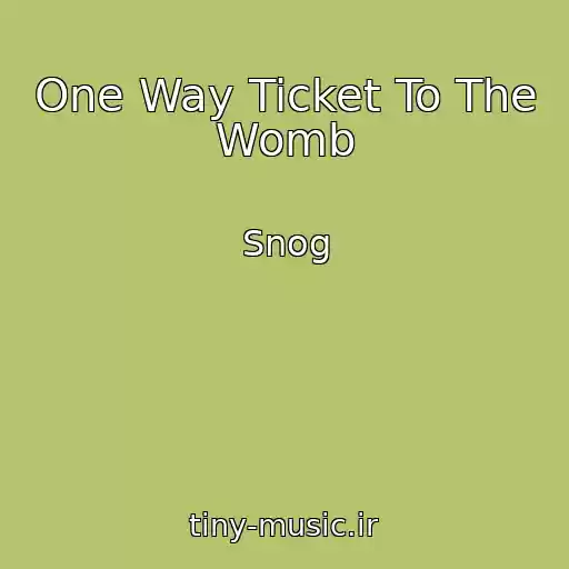 کاور آهنگ One Way Ticket To The Womb از Snog
