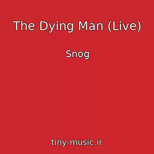 کاور آهنگ The Dying Man (Live) از Snog