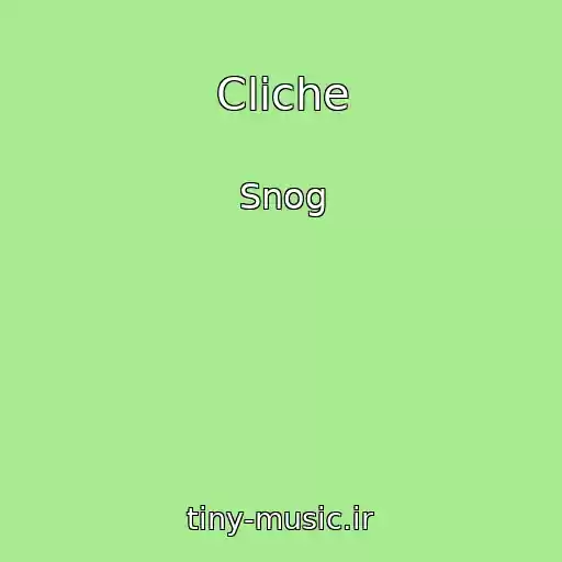 کاور آهنگ Cliche از Snog