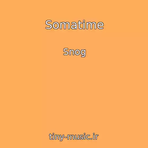 کاور آهنگ Somatime از Snog