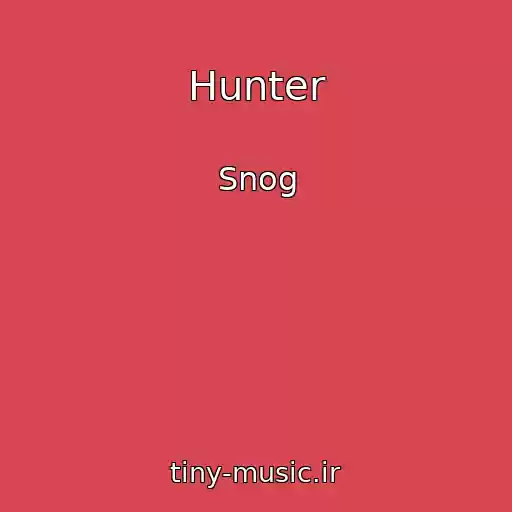 کاور آهنگ Hunter از Snog