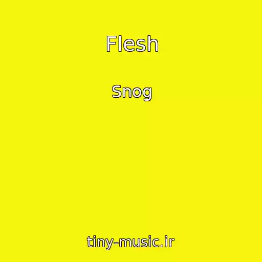کاور آهنگ Flesh از Snog