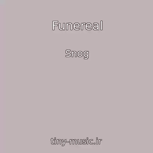 کاور آهنگ Funereal از Snog