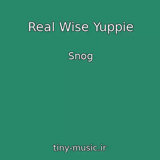 کاور آهنگ Real Wise Yuppie از Snog