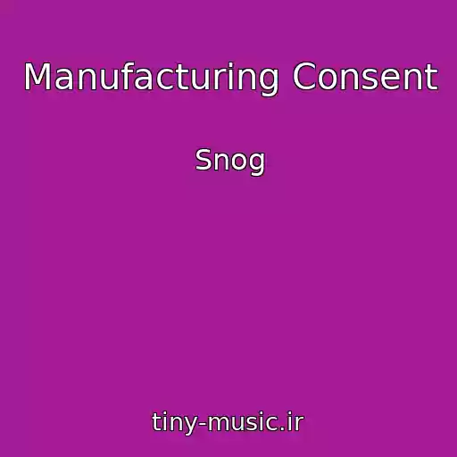کاور آهنگ Manufacturing Consent از Snog