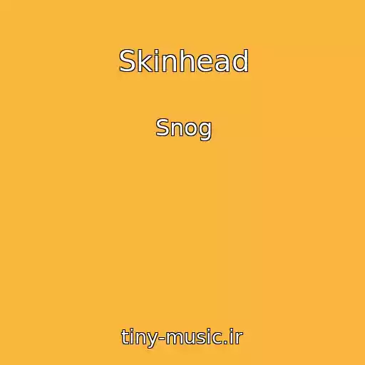 کاور آهنگ Skinhead از Snog