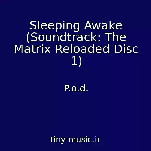 کاور آهنگ Sleeping Awake (Soundtrack: The Matrix Reloaded Disc 1) از P.o.d.