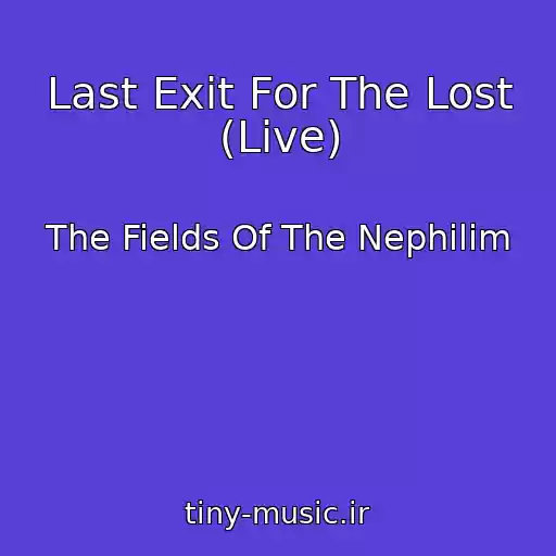 کاور آهنگ Last Exit For The Lost (Live) از The Fields Of The Nephilim