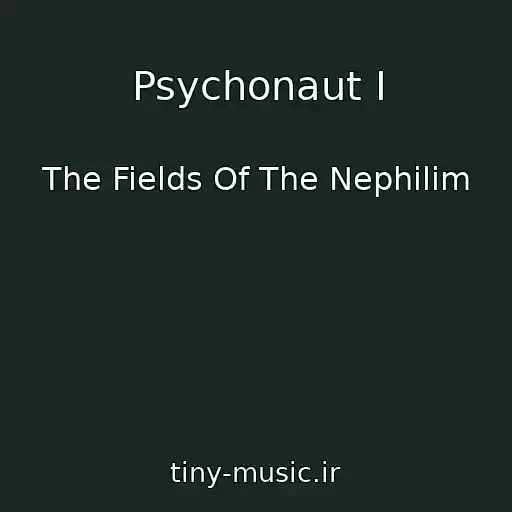 کاور آهنگ Psychonaut I از The Fields Of The Nephilim