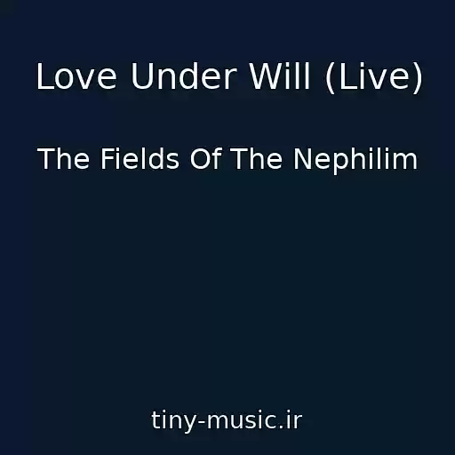 کاور آهنگ Love Under Will (Live) از The Fields Of The Nephilim