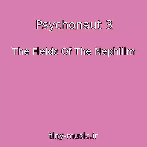 کاور آهنگ Psychonaut 3 از The Fields Of The Nephilim