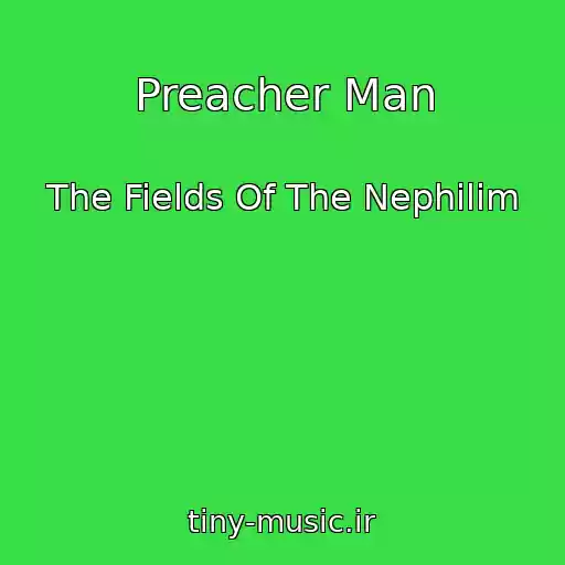 کاور آهنگ Preacher Man از The Fields Of The Nephilim