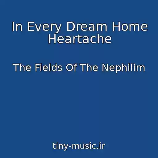 کاور آهنگ In Every Dream Home Heartache از The Fields Of The Nephilim