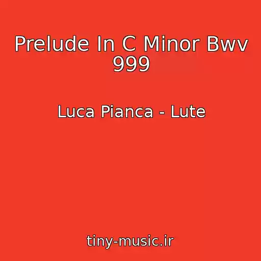 کاور آهنگ Prelude In C Minor Bwv 999 از Luca Pianca - Lute