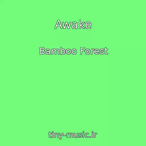 کاور آهنگ Awake از Bamboo Forest