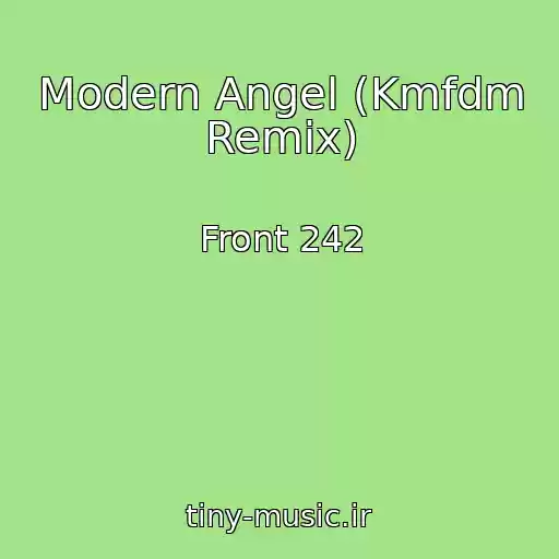 کاور آهنگ Modern Angel (Kmfdm Remix) از Front 242