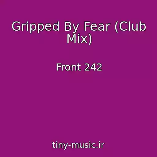 کاور آهنگ Gripped By Fear (Club Mix) از Front 242