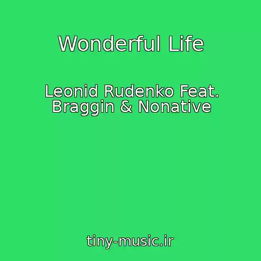 کاور آهنگ Wonderful Life از Leonid Rudenko Feat. Braggin & Nonative