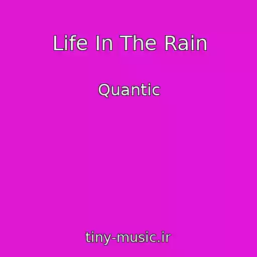 کاور آهنگ Life In The Rain از Quantic