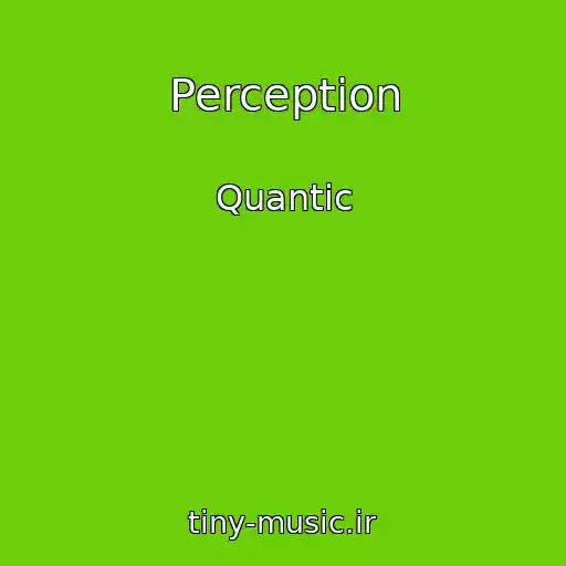 کاور آهنگ Perception از Quantic