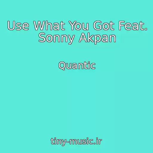کاور آهنگ Use What You Got Feat. Sonny Akpan از Quantic