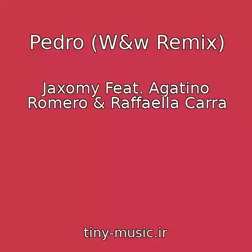 کاور آهنگ Pedro (W&w Remix) از Jaxomy Feat. Agatino Romero & Raffaella Carra