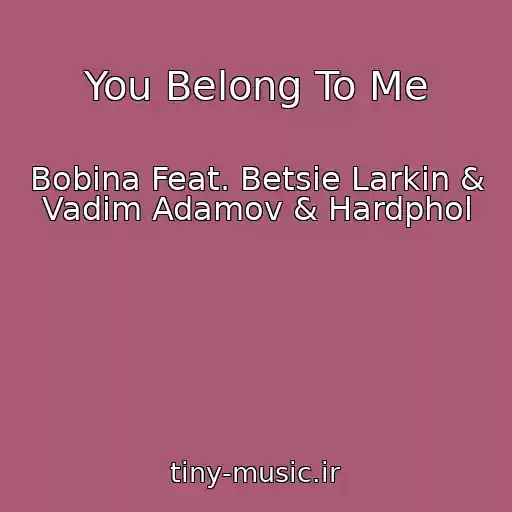 کاور آهنگ You Belong To Me از Bobina Feat. Betsie Larkin & Vadim Adamov & Hardphol