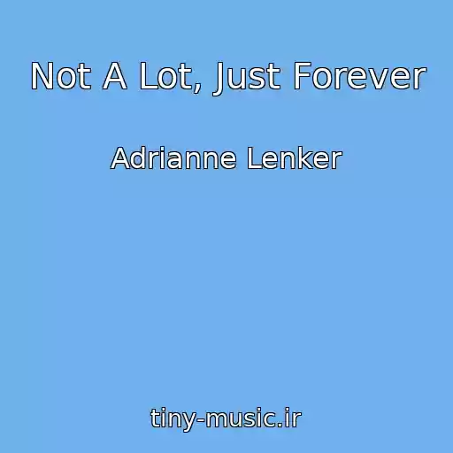 کاور آهنگ Not A Lot, Just Forever از Adrianne Lenker