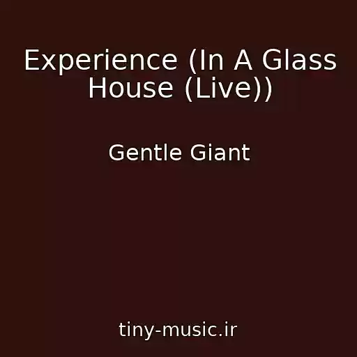 کاور آهنگ Experience (In A Glass House (Live)) از Gentle Giant