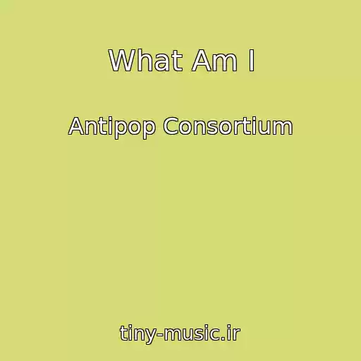 کاور آهنگ What Am I از Antipop Consortium