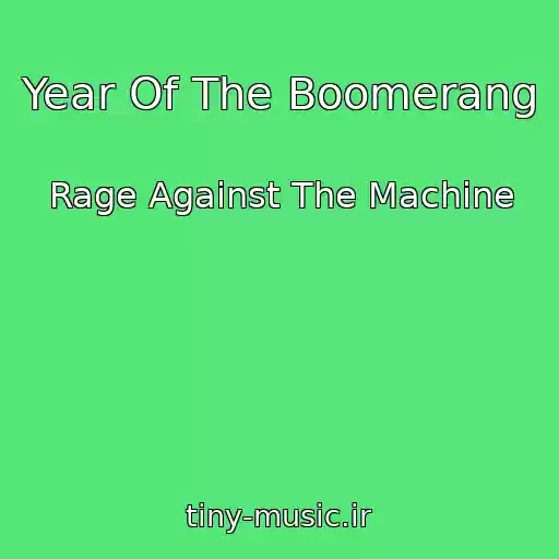 کاور آهنگ Year Of The Boomerang از Rage Against The Machine