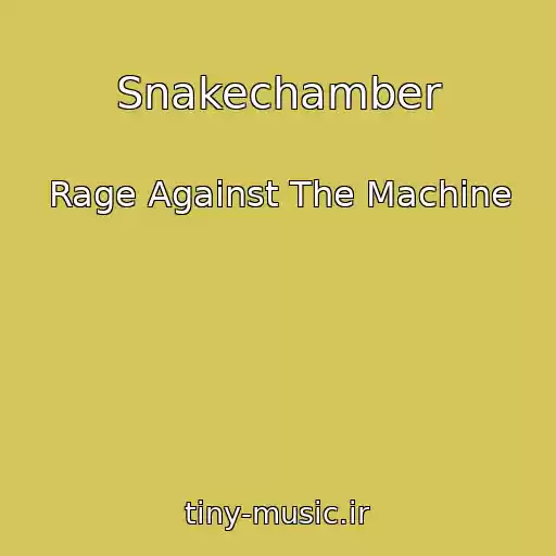 کاور آهنگ Snakechamber از Rage Against The Machine