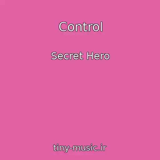 کاور آهنگ Control از Secret Hero