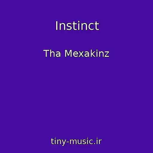 کاور آهنگ Instinct از Tha Mexakinz