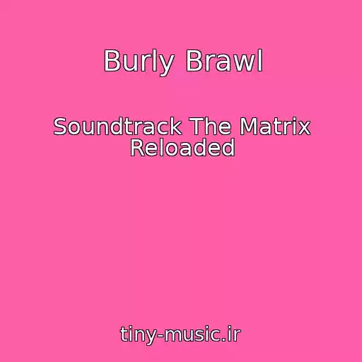 کاور آهنگ Burly Brawl از Soundtrack The Matrix Reloaded