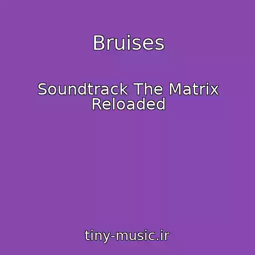 کاور آهنگ Bruises از Soundtrack The Matrix Reloaded
