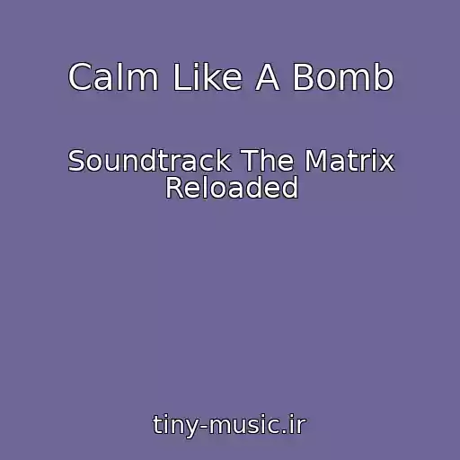 کاور آهنگ Calm Like A Bomb از Soundtrack The Matrix Reloaded