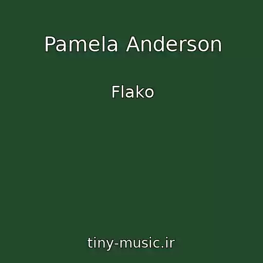 کاور آهنگ Pamela Anderson از Flako