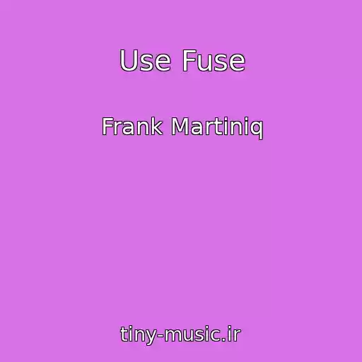 کاور آهنگ Use Fuse از Frank Martiniq