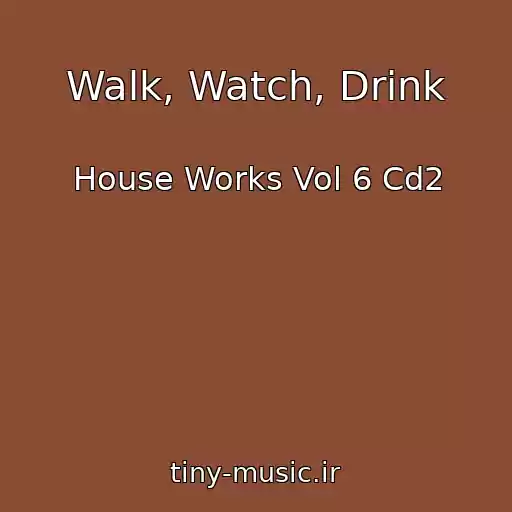 کاور آهنگ Walk, Watch, Drink از House Works Vol 6 Cd2