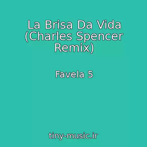 کاور آهنگ La Brisa Da Vida (Charles Spencer Remix) از Favela 5