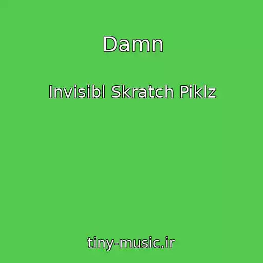کاور آهنگ Damn از Invisibl Skratch Piklz