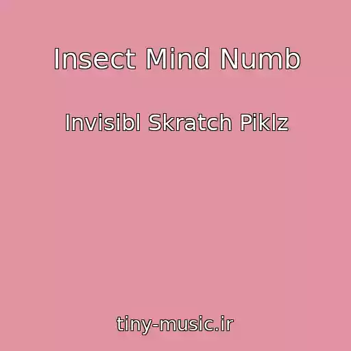 کاور آهنگ Insect Mind Numb از Invisibl Skratch Piklz