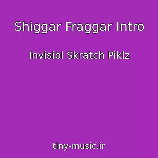 کاور آهنگ Shiggar Fraggar Intro از Invisibl Skratch Piklz