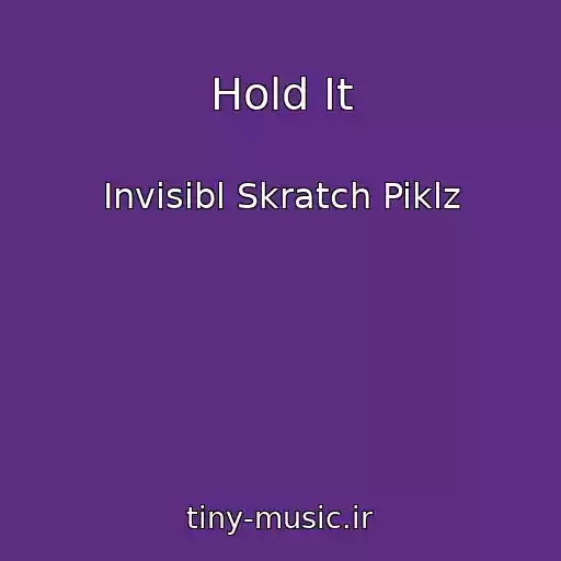 کاور آهنگ Hold It از Invisibl Skratch Piklz