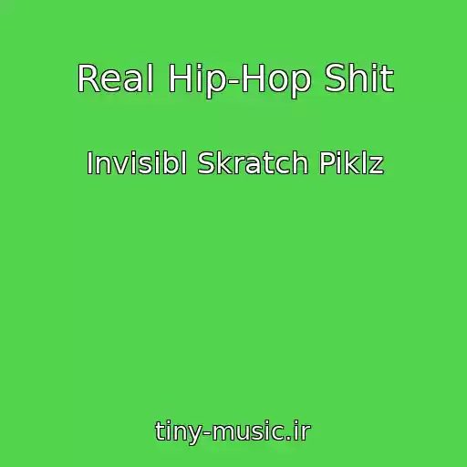 کاور آهنگ Real Hip-Hop Shit از Invisibl Skratch Piklz