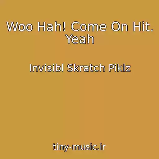 کاور آهنگ Woo Hah! Come On Hit. Yeah از Invisibl Skratch Piklz