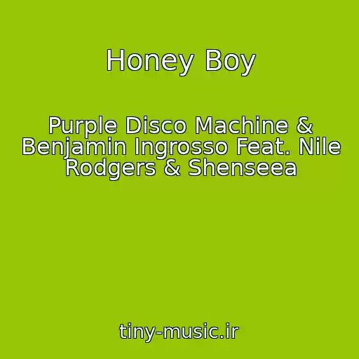 کاور آهنگ Honey Boy از Purple Disco Machine & Benjamin Ingrosso Feat. Nile Rodgers & Shenseea